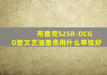 布鲁克S25R-DCG D型文艺油墨色用什么琴弦好